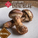 【ふるさと納税】和歌山県産 香り高く希少な国産 松茸 約300g 【2025年10月中旬頃より順次発送】【OKT2】 | 野菜 やさい 食品 人気 おすすめ 送...