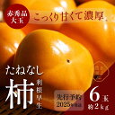 【ふるさと納税】柿(種無し) 6個入 (約2kg) 秀品大玉【2025年9月下旬頃より発送】【KT1】 | 柿 かき フルーツ 果物 くだもの 食品 人気 おす...