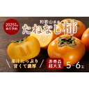 【ふるさと納税】柿 種無し 赤秀品 超大玉 1.8kg 5〜6個 【先行予約】【2025年9月下旬頃から発送】【KG4】 | 柿 かき フルーツ 果物 くだもの...