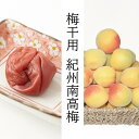 【ふるさと納税】【梅干・梅酒用】(2LまたはL−10Kg)熟南高梅<2025年6月上旬〜7月7日発送予定>フルーツ 果物 くだもの 食品 人気 おすすめ 送料無...