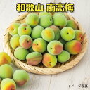 【ふるさと納税】【梅干・梅酒用】(LまたはM−10Kg)熟南高梅<2025年6月上旬〜7月7日発送予定>フルーツ 果物 くだもの 食品 人気 おすすめ 送料無料...