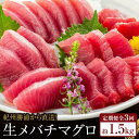 【ふるさと納税】【定期便全3回】生まぐろの本場紀州勝浦から直送! 生メバチマグロ 約1.5kg(1カ月に1回お届け)(全3ヵ月) | 和歌山県 和歌山 九度山町 楽天ふるさと 納税 返礼品 特産品 支援 定期便 お取り寄せグルメ 魚介類 魚介 まぐろ マグロ 鮪 刺身 お刺身 海鮮