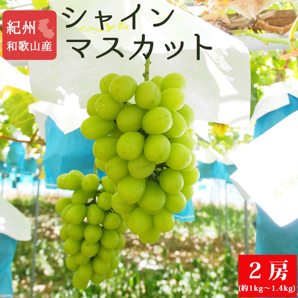 【ふるさと納税】紀州和歌山産 シャインマスカット2房(約1kg〜1.4kg)【UT120】 | マスカット ぶどう ブドウ フルーツ 果物 くだもの 食品 人気 おすすめ 送料無料 産地直送