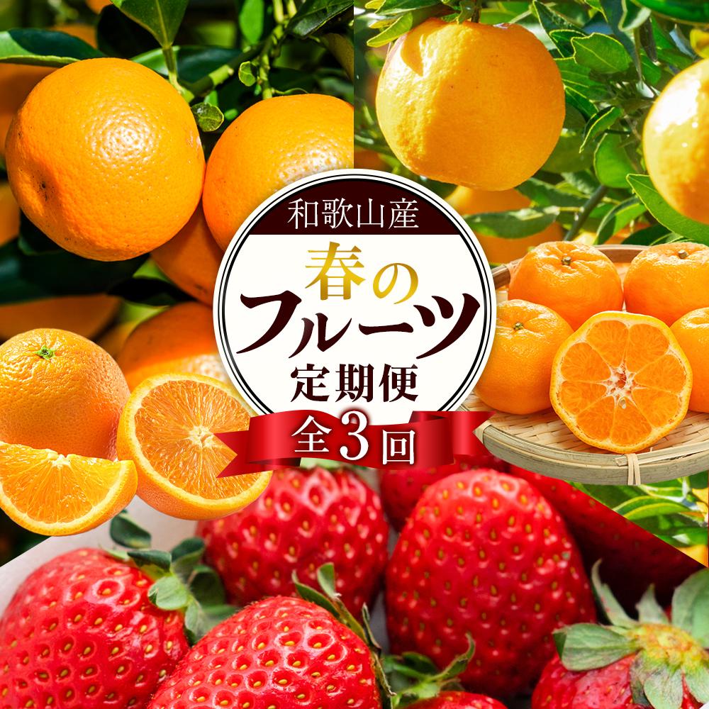 【ふるさと納税】定期便全3回 【2月・3月・4月発送】 和歌山の春のフルーツ (ポンカン・清見オレンジ・まりひめ)【TM174】 | フルーツ 果物 くだもの 食品 人気 おすすめ 送料無料