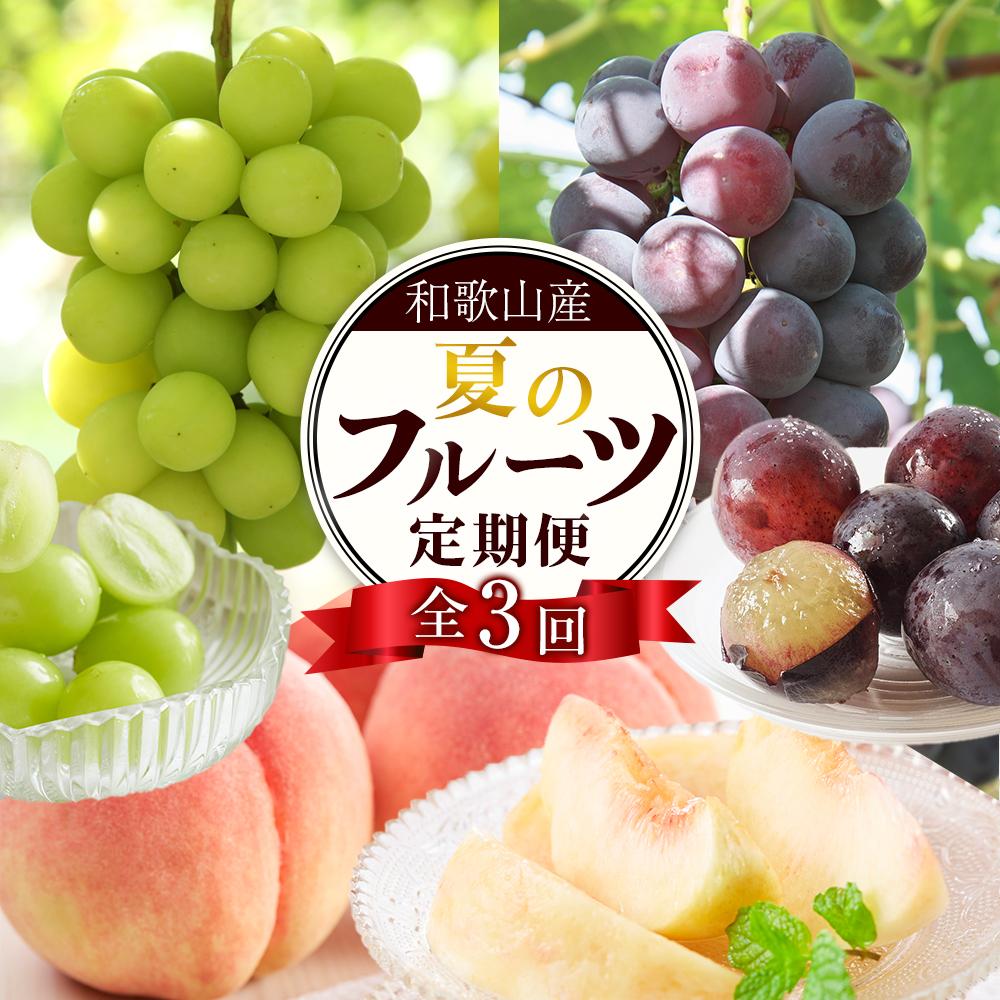 【ふるさと納税】定期便全3回 【7月・8月・9月発送】 和歌山のフルーツをお届け(桃・たねなしピオーネ・シャインマスカット)【TM180】 | フルーツ 果物 ...