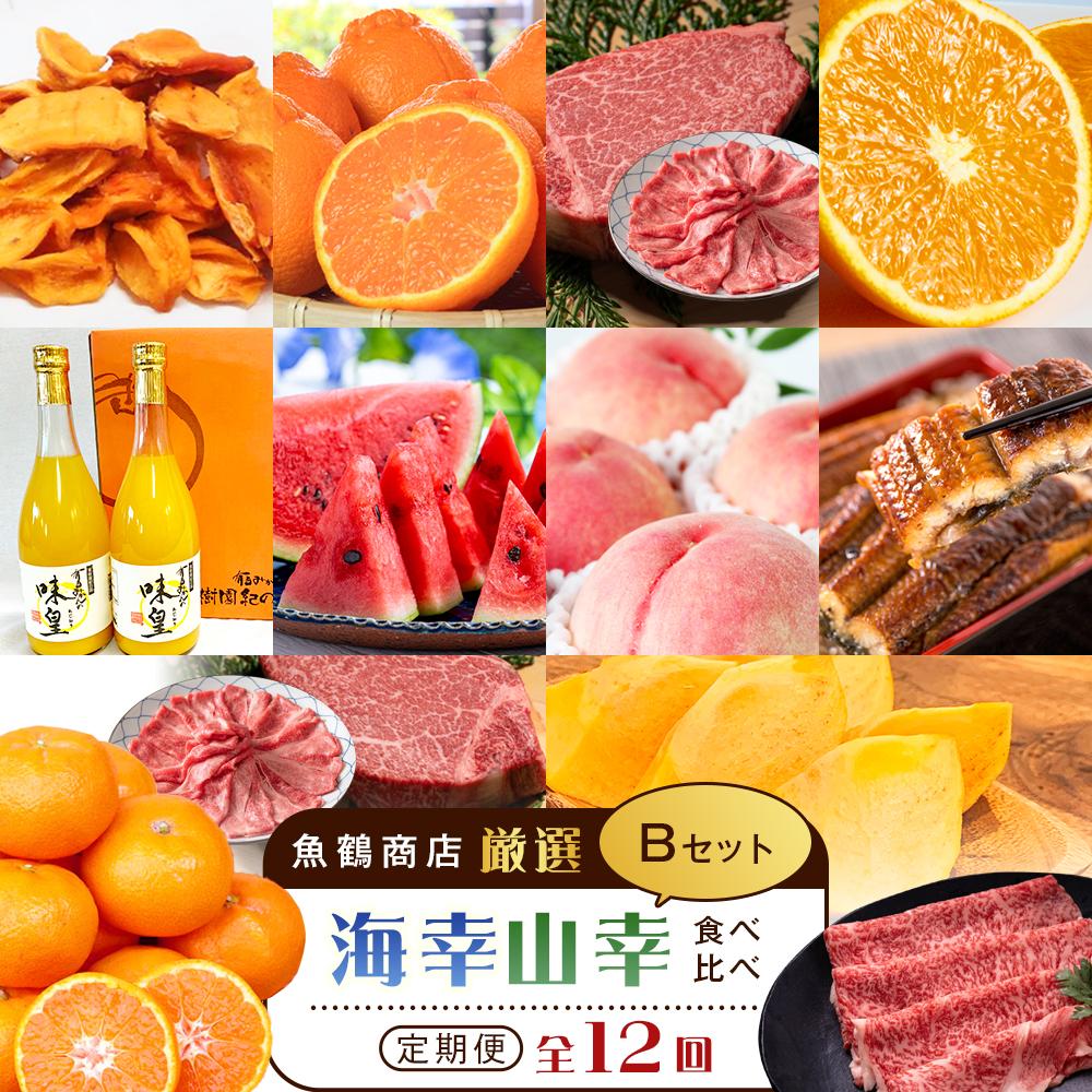 【ふるさと納税】【魚鶴商店厳選!】人気の海幸山幸食べ比べ【定期便全12回】セットB【UT110】 | 和歌山県 九度山町 フルーツ 果物 魚介 鰻 ウナギ 鮭 シャケ ミカン みかん 定期便 頒布会 ふるさと納税 返礼品 おススメ