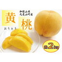 【ふるさと納税】和歌山の黄桃(黄貴妃) 約2kg 【濃厚】 先行予約【9月上旬~中旬発送】 | もも フルーツ 果物 くだもの 食品 人気 おすすめ 送料無料