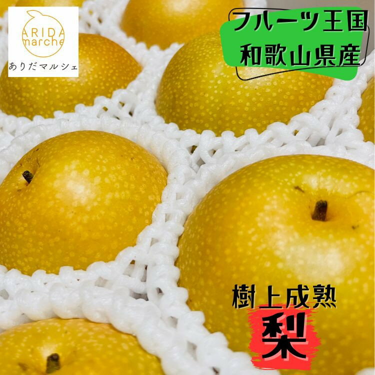 【ふるさと納税】和歌山の樹上成熟梨 約2kg(6〜8玉)or 約4kg(12〜15玉) ※2026年8月上旬〜9月中旬頃発送予定| 先行予約 果物 フルーツ 甘...