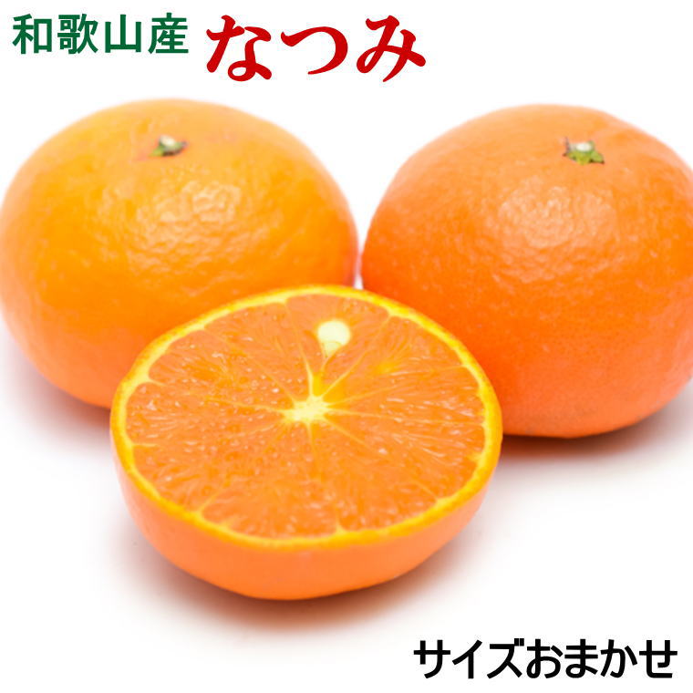 【ふるさと納税】【希少柑橘】和歌山県産なつみ約5kg（S～2