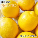 K1-75【ふるさと納税】【11月発送】【手選別・産直】和歌...