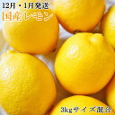 K1-76【ふるさと納税】【12月・1月発送】【手選別・産直...