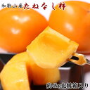 【ふるさと納税】【秋の味覚】和歌山産たねなし柿2L〜4Lサイズ約4kg(化粧箱入り)★2025年10月頃より順次発送【TM192】 | 和歌山県 九度山町 和歌...