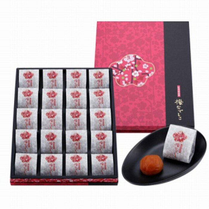 【ふるさと納税】特選紀州南高梅 梅なでしこ 20粒入 | 和歌山県 和歌山 九度山町 楽天ふるさと 納税 南高梅 梅 うめ ウメ 梅干し 梅干 お取り寄せグルメ ご飯のお供 ご飯の友 ごはんのおとも ご飯のおとも ごはんのお供 漬け物 つまみ おつまみ 酒のつまみ 食品 食べ物のサムネイル