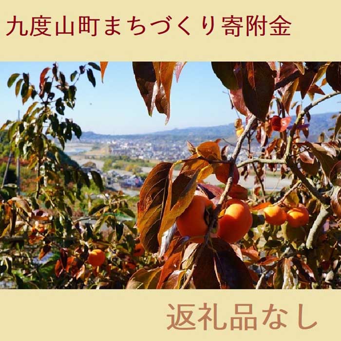 5位! 口コミ数「0件」評価「0」【返礼品なし】九度山町まちづくり寄附金（1,000円単位でご寄附いただけます） | 和歌山県 九度山町 和歌山 支援 楽天ふるさと 納税 返･･･ 