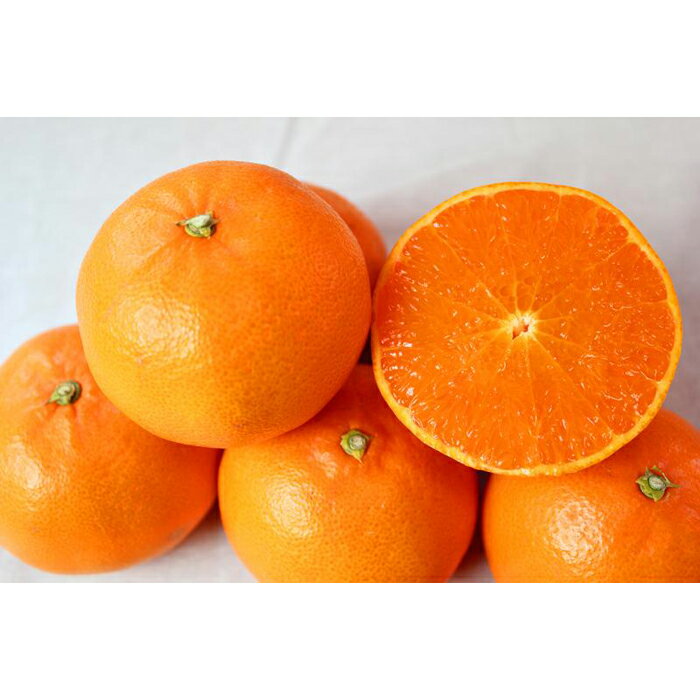 【ふるさと納税】紀州有田産せとか約3kg　とろける食感！ジューシー柑橘【2025年2月下旬以降発送】【先行予約】【UT03】 | 支援品 返礼品 フルーツ 果物 くだもの 柑橘 かんきつ 柑橘類 かんきつ類