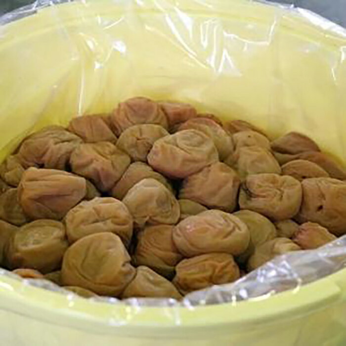 【ふるさと納税】【贈答用】紀州南高梅 優梅 1000g 化粧箱入 | 和歌山県 和歌山 九度山町 楽天ふるさと 納税 南高梅 梅 うめ ウメ 梅干し 梅干 お取り寄せグルメ ご飯のお供 ご飯の友 ごはんのおとも ご飯のおとも ごはんのお供 漬け物 ギフト 贈り物 プレゼント 贈答品