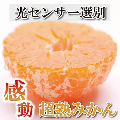 家庭用 超熟有田みかん5kg+150g（傷み補償分）訳あり＜2024年11月より発送＞ | 和歌山 みかん ミカン 蜜柑 柑橘 柑橘類 かんきつ 果物 フルーツ 旬の果物 食品