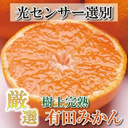 厳選 完熟有田みかん5kg+150g（傷み補償分）＜11月より発送＞ | 和歌山 みかん ミカン 蜜柑 柑橘 柑橘類 かんきつ 果物 くだもの フルーツ 旬の果物 食品 食べ物 果実