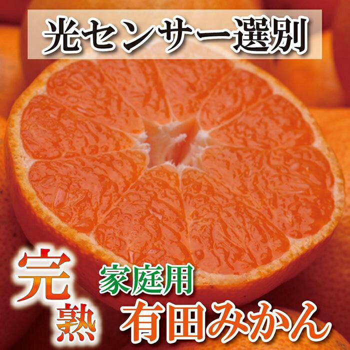 家庭用 完熟有田みかん10kg+300g（傷み補償分）訳あり＜11月より発送＞ | 和歌山 みかん ミカン 蜜柑 柑橘 柑橘類 かんきつ 果物 フルーツ 旬の果物 食品