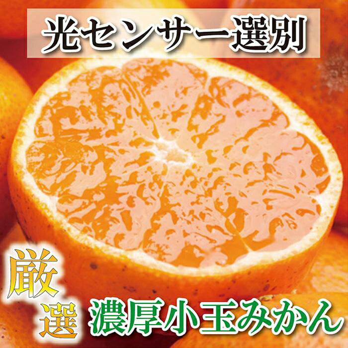 ・ふるさと納税よくある質問はこちら ・寄付申込みのキャンセル、返礼品の変更・返品はできません。あらかじめご了承ください。 ・ご要望を備考に記載頂いてもこちらでは対応いたしかねますので、何卒ご了承くださいませ。 ・寄付回数の制限は設けておりません。寄付をいただく度にお届けいたします。 商品概要 みかん生産量日本一の和歌山県の中でも、一番のみかんどころ有田地方。 乾燥した気候の中、急峻な段々畑で、日光と黒潮の浜風をうけて育った有田みかんは、果汁がギューッと濃縮されて濃厚な味わいです。 美味しいみかんの見分け方の一つは「小さいみかん」です。 同じ木に生ったみかんでも、小さければ小さいほど美味しい傾向にあります。 みかん生産量日本一の和歌山県の中でも、有数のみかんどころ有田地域から、 美味しさが凝縮した小玉みかんを農家直送でお届けいたします。 ベテラン職人と光センサーで一玉一玉内部品質を含めてチェックして箱詰めします。 【注意】 ※写真はイメージです。 ※Sサイズ以下または2Sサイズ以下のサイズ混合です。（極小玉も含みます。） ※農薬の使用を極力控えて栽培しているため、外見がきれいでない傾向がございます。 ※天候等により出荷時期が前後する場合がございます。 ※運送中の傷み等を考慮し、3％増量して発送させていただきます。 ※ご不在等により発送から4日を超えてお受け取りになった場合、果実に傷みが生じていても返品・交換には応じかねます。 ※生鮮食品につき、北海道・沖縄・離島へはお届けできません。 以上、予めご了承の上お申し込みください。 【こちらのお礼品は広川町と九度山町の共通返礼品となります】 平成31年総務省告示第179号第5条第8号イ「市区町村が近隣の他の市区町村と共同で前各号いずれかに該当するものを共通の返礼品等とするもの」に該当する返礼品として、和歌山県内で合意した市町村間で出品しているものです。 事業者名：池田鹿蔵農園@九度山町（池田農園株式会社） 連絡先：0737-23-7070 関連キーワード：フルーツ 果物 くだもの 食品 人気 おすすめ 送料無料 光センサー選果 内容量・サイズ等 5kg+150g（傷み補償分） 賞味期限（保存方法） 発送日より7日 （ダンボール箱から取り出し、冷蔵庫または、直射日光の当たらない冷暗所にて保存してください。） 配送方法 常温 発送期日 2024年11月01日〜2024年12月28日※お申し込み順に順次発送いたします。着日指定は承れませんので予めご了承ください。収穫状況により発送時期が前後する可能性がございます。 アレルギー オレンジ ※ 表示内容に関しては各事業者の指定に基づき掲載しており、一切の内容を保証するものではございません。 ※ ご不明の点がございましたら事業者まで直接お問い合わせ下さい。 名称 小玉な有田みかん 産地名 和歌山県有田 事業者情報 事業者名 池田鹿蔵農園@九度山町（池田農園株式会社） 連絡先 0737-23-7070 営業時間 8：30-17：30 定休日 日曜日・祝祭日 関連商品【ふるさと納税】厳選 大きな有田みかん10kg+300g（傷み補償分）...【ふるさと納税】家庭用はっさく10kg+300g（傷み補償分）訳あり＜...【ふるさと納税】厳選 不知火5kg+150g（傷み補償分）＜2月より発...13,000円13,000円13,000円【ふるさと納税】有田みかん【特秀品小玉S〜M、高糖度】約5Kg！　20...【ふるさと納税】【先行予約】有田育ちのご家庭用 完熟有田みかん10kg...【ふるさと納税】紀州有田みかん　秀品　約5kg　（MまたはSサイズ） ...13,000円13,000円13,000円【ふるさと納税】紀州有田産濃厚甘熟温州みかん5kg【先行予約】【UT0...【ふるさと納税】紀州有田みかん 　こつぶちゃん　約5kg　 | 和歌山...【ふるさと納税】ご家庭用 河内晩柑　7.5kg【農家直送】【和歌山県産...13,000円13,000円13,000円「ふるさと納税」寄付金は、下記の事業を推進する資金として活用してまいります。 （1）特に使途を定めない （2）魅力あるまちづくり事業【産業・観光事業】 （3）人に優しいまちづくり事業【福祉事業】 （4）元気なまちづくり事業【教育事業】 （5）その他まちづくりに資する事業【その他事業】