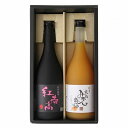 【ふるさと納税】和歌山の贅沢梅酒ギフトセット(紅南高・完熟み...