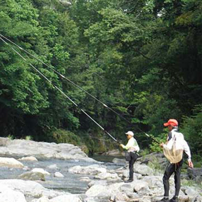 【ふるさと納税】鮎遊漁承認証（年券） | 和歌山県 和歌山 九度山町 ふるさと 納税 楽天ふるさと 支援 支援品 返礼品 お礼の品 九度山 和歌山県九度山町 チケット 券 釣り つり 体験 アウトドア レジャー アクティビティ フィッシング