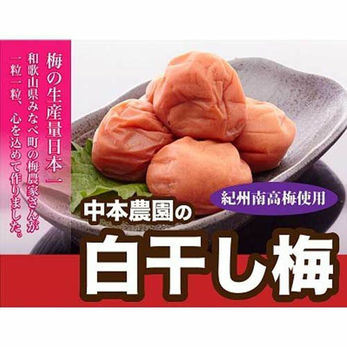 【ふるさと納税】本場和歌山みなべの昔ながらのしょっぱい梅干し 1.5kg（500g×3セット） | 梅干し 和歌山県 和歌山 九度山町 ふるさと 納税 楽天ふるさと 支援 支援品 返礼品 お礼の品 名産 名産品 特産 特産品 九度山 和歌山県九度山町 グルメ お取り寄せ 梅 うめ ウメ