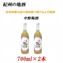 8位! 口コミ数「0件」評価「0」紀州の地酒 中野梅酒 なかのうめしゅ14度 720ml×2本 | 和歌山県 和歌山 九度山町 ふるさと 納税 楽天ふるさと 支援 支援品 返･･･ 