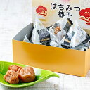 【ふるさと納税】紀州南高梅 はちみつ梅干(テトラピロー)12個入り【2箱】 | 和歌山県 和歌山 九度山町 楽天ふるさと 納税 南高梅 梅 うめ ウメ 梅干し 梅干 お取り寄せグルメ ご飯のお供 ご飯の友 ごはんのおとも ご飯のおとも ごはんのお供 漬け物 おつまみ 酒のつまみ