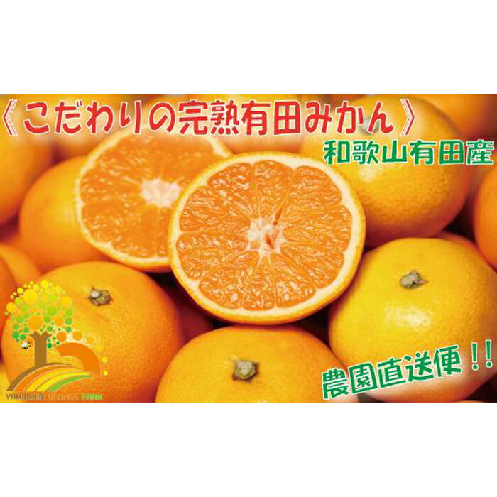 【ふるさと納税】＼農家直送／こだわりの完熟有田みかん Lサイズ約10kg 【2024年11月中旬より順次発送】 | 和歌山 九度山町 楽天ふるさと 納税 返礼品 お取り寄せグルメ お取り寄せ グルメ フルーツ 果物 くだもの みかん 柑橘 柑橘類 特産品 名産品のサムネイル