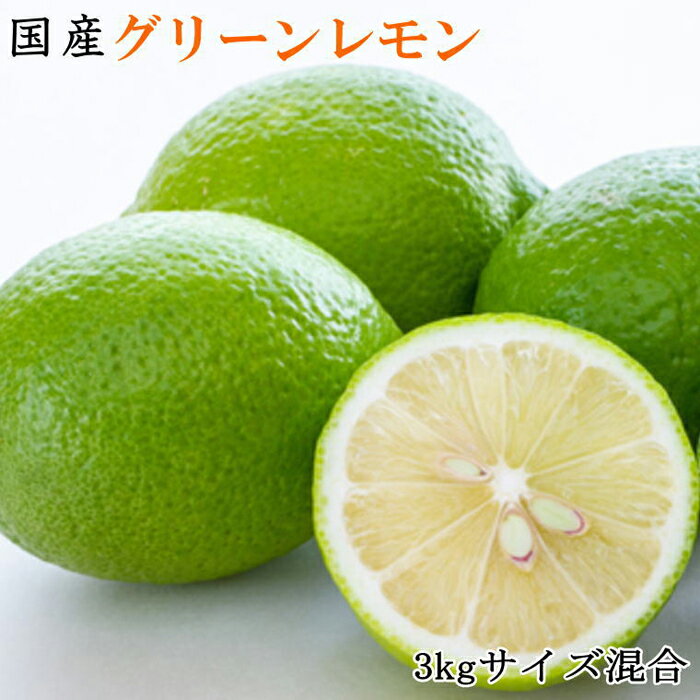 【ふるさと納税】【産直】和歌山産グリーンレモン約3kg（サイズ混合）