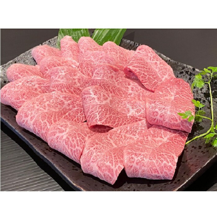 【ふるさと納税】和歌山県産 黒毛和牛「熊野牛」 特選ミスジ(希少部位)焼肉用 400g 4等級以上 | 焼肉 和歌山県 和歌山 九度山町 ふるさと 納税 楽天ふるさと 支援 支援品 返礼品 お礼の品 名産 名産品 特産 特産品 九度山 和歌山県九度山町 肉 お肉 牛 牛肉 和牛 国産和牛のサムネイル