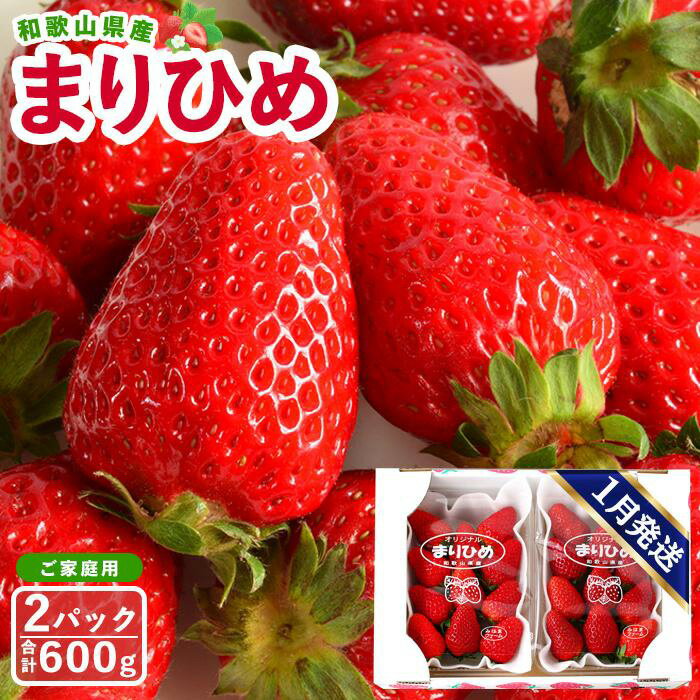 [ご家庭用(簡易包装)]和歌山県産まりひめ 1箱(2パック入り)[2026年1月お届け][MG59] | 和歌山 いちご イチゴ 苺 果物 くだもの フルーツ 旬の果物 食品 食べ物 食材 お取り寄せ 取り寄せ