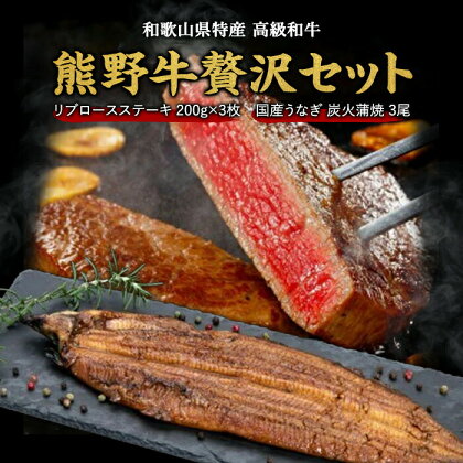 豪華限定企画！熊野牛ステーキと国産炭火焼鰻の贅沢うな牛セットB | 和牛 和歌山県 和歌山 九度山町 楽天ふるさと 納税 返礼品 支援品 お取り寄せグルメ お取り寄せ 取り寄せ グルメ 牛肉 ステーキ 国産牛 肉 ブランド牛 食品 美味しい うなぎ ウナギ 鰻