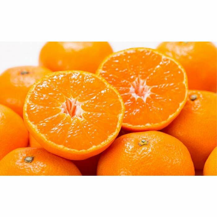 【ふるさと納税】有田みかん約7.5kg(+傷み補填分500g)=合計8kg【サイズおまかせ】／紀伊国屋文左衛門本舗［2021年10月上旬〜2022年1月中旬頃発送］（お届け日指定不可） | 和歌山県 九度山町 ふるさと 納税 2021 楽天ふるさと 支援品 返礼品 お取り寄せ グルメ ご当地