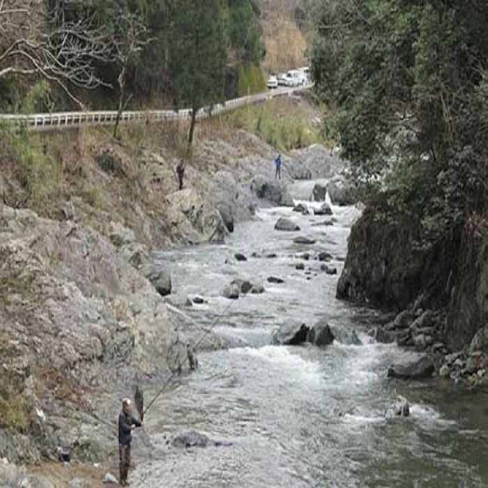 【ふるさと納税】アマゴ釣り遊漁承認証 年券1枚 | 和歌山県 和歌山 九度山町 ふるさと 納税 楽天ふる...