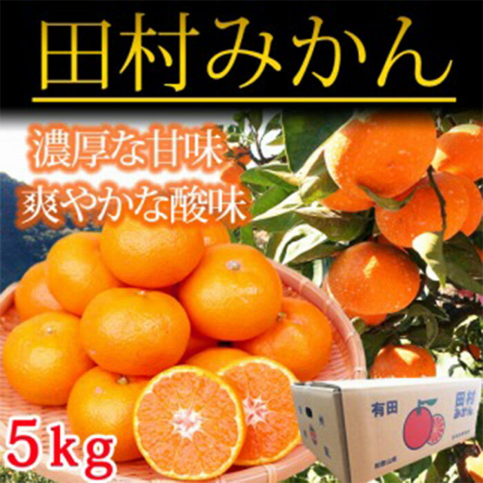 【ふるさと納税】高級ブランド田村みかん＜5kg＞【2021年11月下旬〜発送】| 和歌山県 和歌山 九度山町 ふるさと 納税　楽天ふるさと 名産品 取り寄せ お取り寄せ グルメ お取り寄せグルメ ご当地 ご当地グルメ
