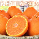 【ふるさと納税】紀州有田産不知火(しらぬひ) 約5kg【20