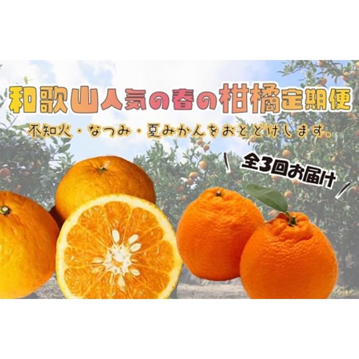 【ふるさと納税】【魚鶴商店厳選】和歌山人気の春の柑橘定期便（不知火・なつみ・甘夏みかん）【定期便全3回】 | 和歌山県 和歌山 九度山町 楽天ふるさと 納税 みかん ミカン 蜜柑 柑橘 柑橘類 かんきつ 果物 くだもの フルーツ 旬の果物 食品 食べ物 果実 おいしい 美味しい
