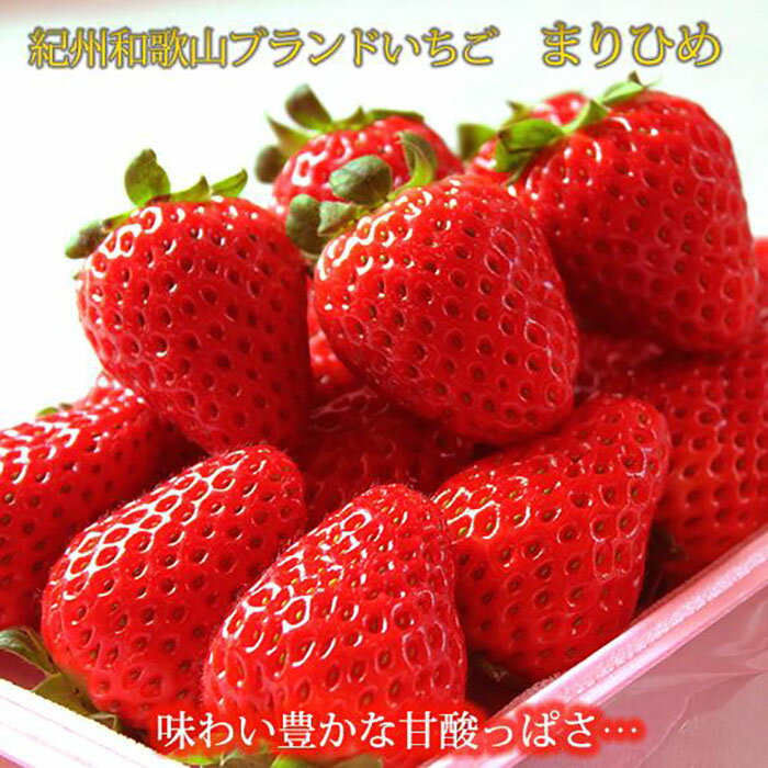 紀州和歌山ブランドいちご「まりひめ」約250g×4P [2026年3月上旬頃〜2026年3月下旬頃に順次発送][UT39] | 和歌山 九度山町 楽天ふるさと 納税 返礼品 お礼の品 お取り寄せ 取り寄せ フルーツ 果物 くだもの 特産品 いちご イチゴ 苺 ご当地グルメ