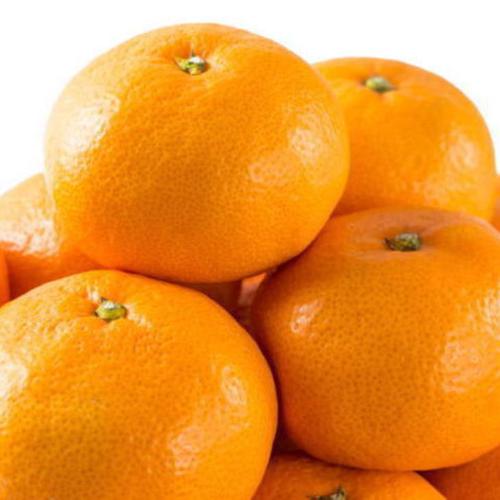 【ふるさと納税】エコファーマーのこだわり有田みかん7.5kg（サイズ混合）★2022年11月中旬より順次発送 | 和歌山県 和歌山 九度山町 ふるさと 納税 支援 支援品 返礼品 みかん ミカン 蜜柑 温州みかん 有田みかん お土産 果物 くだもの フルーツ お取り寄せ 特産品 柑橘