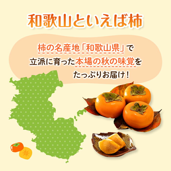 【ふるさと納税】◆先行予約◆和歌山県産 平核無柿＜贈答用／秀品＞8～13玉【2024年10月上旬以降発送】【MG4】柿 種無し たねなし ひらたね 先行予約 | 和歌山県 ふるさと 納税 楽天ふるさと 支援 支援品 返礼品 種無し柿 名産 特産 特産品 九度山 フルーツ かき たねなし柿 3