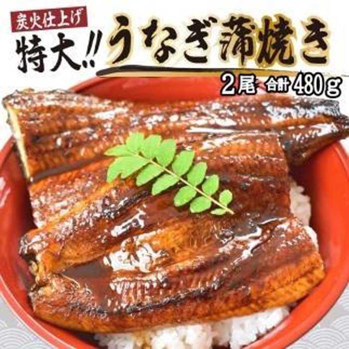 うなぎ蒲焼き2尾入り 480g(蒲焼たれ4袋 山椒付き)[KS5] | 和歌山県 高野町 和歌山 高野山 カット鰻 鰻 カット ウナギ うな重 ひつまぶし かばやき 冷凍