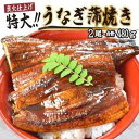 【ふるさと納税】うなぎ蒲焼き2尾入り 480g（蒲焼たれ4袋