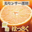 ・ふるさと納税よくある質問はこちら ・寄付申込みのキャンセル、返礼品の変更・返品はできません。あらかじめご了承ください。 ・ご要望を備考に記載頂いてもこちらでは対応いたしかねますので、何卒ご了承くださいませ。 ・寄付回数の制限は設けておりません。寄付をいただく度にお届けいたします。 商品概要 八朔は江戸時代から作られている柑橘で、和歌山県で約70%が栽培されています。 病気に強い等の理由で盛んに栽培されましたが、様々な新品種の誕生等により生産量は減少し続け、現在は最盛期の十分の一近くまで減っています。 しかし、昨今の高糖度柑橘の流行のなか、苦みの効いた濃厚かつサッパリとした味わいで、八朔が再評価されています。 また、八朔には栄養成分が豊富で、苦味成分のナリンギンは機能性成分で、毛細血管の強化、血流改善、抗アレルギー、抗酸化、食欲抑制などの効果があります。他にも、ビタミンC、クエン酸、オーラブテンなどが含まれており、アンチエイジング、生活習慣病予防、ガン予防、ダイエット効果、美肌効果など、様々な効果が期待できます。 和歌山県有田地方の恵まれた自然で育った八朔を厳選して農家直送でお届けいたします。 ■注意事項/その他 ※写真はイメージです。 ※サイズ混合です。 ※農薬の使用を極力控えて栽培しているため、外見がきれいでない傾向がございます。 ※天候等により出荷時期が前後する場合がございます。 ※運送中の傷み等を考慮し、3％増量して発送させていただきます。 ※ご不在等により発送から4日を超えてお受け取りになった場合、果実に傷みが生じていても返品・交換には応じかねます。 ※生鮮食品につき、北海道・沖縄・離島へのお届けはできません。 以上、予めご了承の上お申し込みください。 【こちらのお礼品は広川町と高野町の共通返礼品となります】 平成31年総務省告示第179号第5条第8号イ「市区町村が近隣の他の市区町村と共同で前各号いずれかに該当するものを共通の返礼品等とするもの」に該当する返礼品として、和歌山県内で合意した市町村間で出品しているものです。 事業者名：池田鹿蔵農園@高野町（池田農園株式会社） 連絡先：0737-23-7070 関連キーワード：フルーツ 果物 くだもの 食品 人気 おすすめ 送料無料 有田の春みかん 五月八朔 さつきはっさく 木生りはっさく きなりはっさく 光センサー選別 内容量・サイズ等 4kg+120g（傷み補償分） 賞味期限(保存方法) 出荷後7日（ダンボール箱から取り出し、冷蔵庫または、直射日光の当たらない冷暗所にて保存） 配送方法 常温 発送期日 2024年4月1日～2024年5月31日※青果物のため発送時期が前後する可能性がございます。お申し込み順で順次発送いたします。着日指定は致しかねますので予めご了承くださいませ。 アレルギー オレンジ ※ 表示内容に関しては各事業者の指定に基づき掲載しており、一切の内容を保証するものではございません。 ※ ご不明の点がございましたら事業者まで直接お問い合わせ下さい。 名称 樹上完熟はっさく 産地名 和歌山県有田 事業者情報 事業者名 池田鹿蔵農園@高野町（池田農園株式会社） 連絡先 0737-23-7070 営業時間 8:30-17:30 定休日 日曜日・祝祭日「ふるさと納税」寄付金は、下記の事業を推進する資金として活用してまいります。 （1）町長にお任せ(その他指定なしの事業) （2）町の活性化を応援する事業 （3）安心・安全で健やかなまちづくりを応援する事業 （4）歴史・文化を継承し、自然・環境を保全する事業 （5）私立学校（高野山学園）への支援