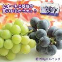 【ふるさと納税】【数量限定】ピオーネと翠峰の夏のおまかせセット約200g×4パック★2024年9月上旬頃より順次発送 | フルーツ 果物 くだもの 食品 人気 おすすめ 送料無料