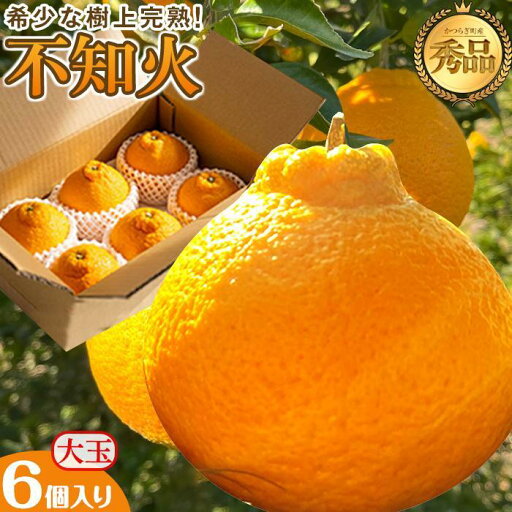 【ふるさと納税】不知火 希少な樹上完熟! 秀品大玉 6個入 (約2kg) 【2026年2月下旬頃~4月中旬頃まで発送】【KT2】 | フルーツ 果物 くだもの 食品 人気 おすすめ 送料無料 【ふるさと納税】不知火 希少な樹上完熟! 秀品大玉 6個入 (約2kg) 【2026年2月下旬頃~4月中旬頃まで発送】【KT2】 | フルーツ 果物 くだもの 食品 人気 おすすめ 送料無料