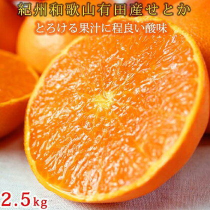 ☆先行予約☆ とろける食感！ジューシー柑橘　せとか　約2.5kg【UT02】 | フルーツ 果物 くだもの 食品 人気 おすすめ 送料無料