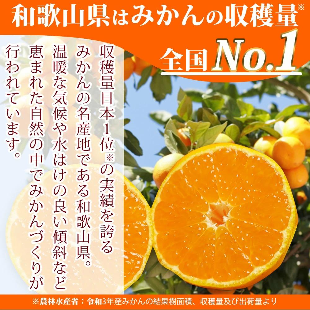 【ふるさと納税】紀州和歌山まるごとみかんゼリー 145g×12個（6個入×2箱）【2024年10月1日より発送予定】【UT28】 | 菓子 おかし スイーツ デザート 食品 人気 おすすめ 送料無料