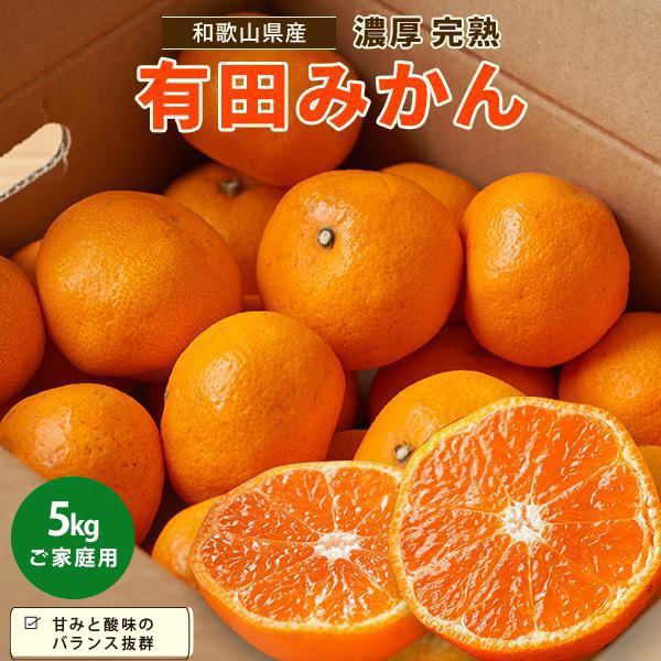 【ふるさと納税】【先行予約】有田育ちのご家庭用 完熟有田みかん5kg【 2024年11月上旬より発送 】【訳あり】 | みかん 家庭用 訳あり 和歌山 有田 完熟 5kg 先行予約 期間限定 柑橘 柑橘類 フルーツ 果物 蜜柑 年内発送 8,000円 10,000円 以下 高野山 高野町 お礼の品